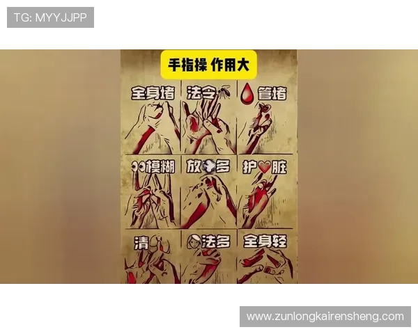 尊龙新版玩法规则新手指南，零基础玩家也能快速上手掌握核心玩法技巧